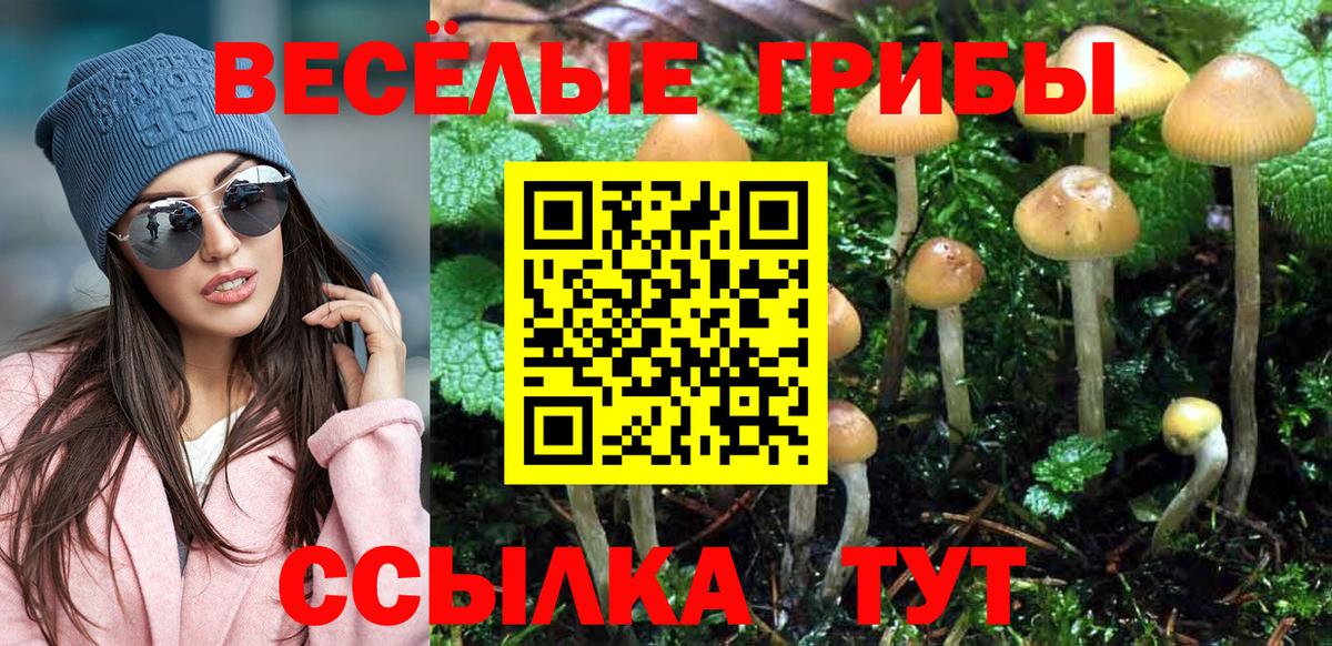 Белебей  Псилоцибиновые грибы MAGIC MUSHROOMS  Вход с VPN 