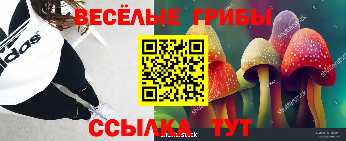 Псилоцибиновые грибы мухоморы Белебей